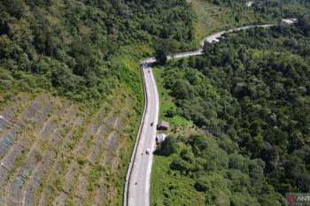 Jalur Mudik Trans Sulawesi Kebun Kopi