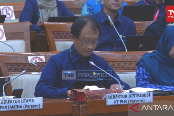 DPR RI apresiasi langkah PLN siapkan listrik selama mudik