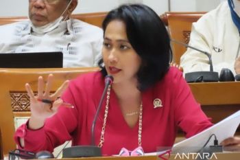 Anggota DPR RI: Negara pastikan kondisi PMI di Suriah baik
