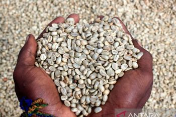 Dari fotografi, Gusti Tanati kini miliki usaha kopi dan galeri foto