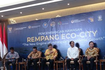 Gubernur Ansar harap Karimun dan Bintan diatur sebagai KPB PB