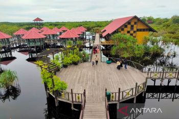 Pembelian tiket objek wisata di Palangka Raya bisa pakai QRIS