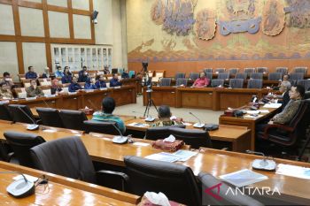 Komisi VI DPR RI apresiasi program promotambah daya ramadan PLN karena mudahkan masyarakat