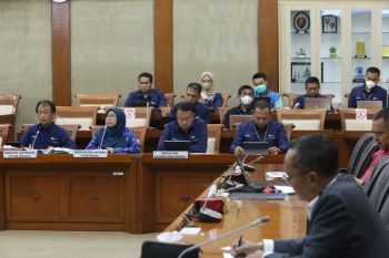 Komisi VI DPR apresiasi PLN siapkan listrik handal untuk mudik Idul Fitri
