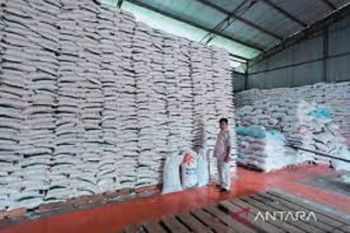 Bapanas perluas Gerakan Selamatkan Pangan setelah sukses di Jabodetabek