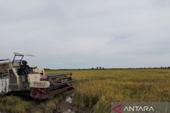 Bendung Gerak Sungai Talake bantu penuhi pangan IKN