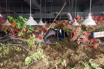 Bangunan Mall di Poso Sulteng rusak akibat longsor