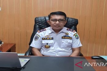 Dinas Bombana sebut arus mudik penyeberangan Kasipute-Bombana masih normal
