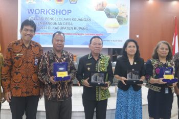 Sebanyak 160 desa di Kupang ditargetkan jadi desa unggul