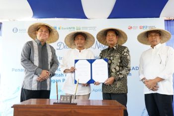 BI NTB perkuat pengendalian inflasi lewat pertanian digital