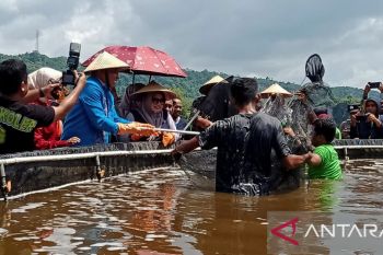 Budidaya udang vaname peluang tingkatkan perekonomian masyarakat Baubau