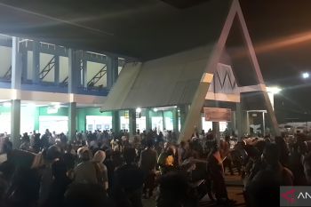 Pelni Cabang Palu catat pemudik capai 5.000 orang