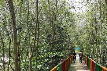 Mudik sekalian menikmati sensasi pantai di lintas timur Lampung