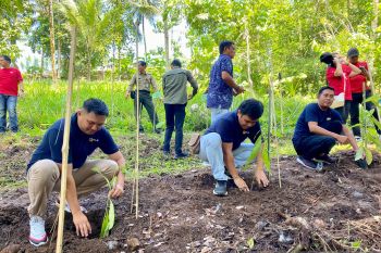 PLN Kotamobagu tanam 1.000 pohon menjaga kelestarian alam