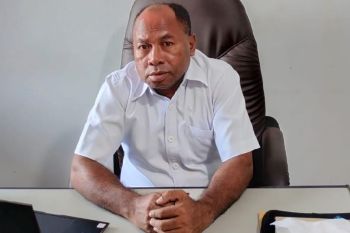 Komnas HAM berharap Pemprov Papua Pegunungan terlibat pembebasan pilot Susi Air