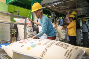 Indonesia to revamp fertilizer factories for food self-sufficiency