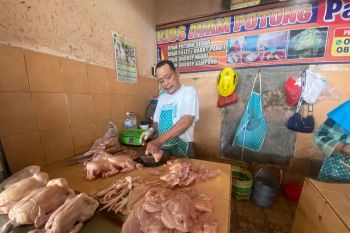 Jelang lebaran, harga ayam potong di Bandarlampung naik
