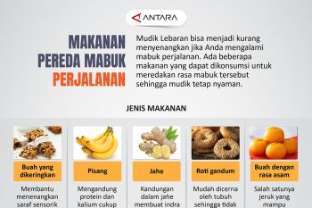 Makanan pereda mabuk perjalanan