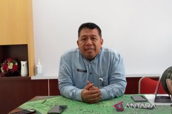 Pemkab Bantul: Pemudik merupakan potensi yang perlu ditangkap pelaku wisata