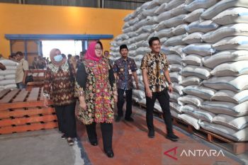 Bulog  Surakarta 100 persen salurkan bantuan pangan di Solo Raya