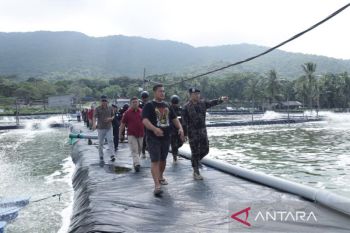 KKP lakukan sidak tambak udang Karimunjawa resahkan masyarakat