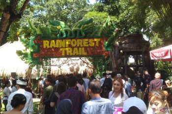 Bali Safari menambah wahana baru sambut libur Lebaran