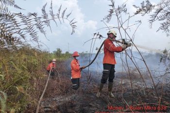 Dua heli PT Arara Abadi APP Sinar Mas bantu padamkan karhutla di perbatasan Bengkalis-Dumai