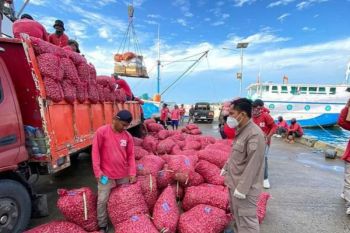18,7 ton bawang Sulbar dikirim ke Kalimantan Selatan