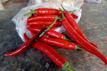 Minister wants Gunung Kunci Fort to be designated as heritage site