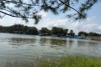 Ribuan wisatawan memadati objek wisata Pantai Glagah Kulon Progo