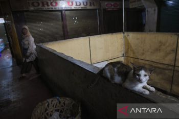 Pasar tradisional di Jakarta masih sepi
