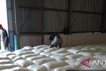 Perum Bulog serap 2.400 ton beras petani di Kabupaten OKU Raya