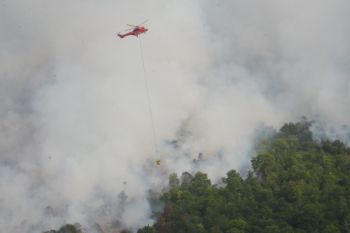Api kebakaran hutan di Bengkalis berhasil dipadamkan