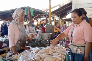 Harga kebutuhan pokok di Mataram mulai stabil