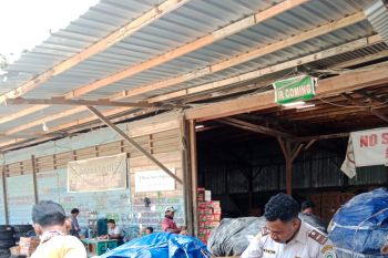Jayapura pemasok daging ayam tertinggi ke Wamena