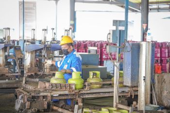 Pertamina distribusikan 3.920 tabung gas 3 kg guna penuhi kebutuhan masyarakat Pesisir Barat