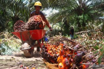 Ratusan buruh di Tapin bakal ikut aksi May Day 2023