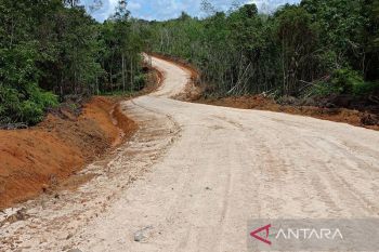 Bupati Bartim: Jalan Simpang Tangkan-Bentot sudah fungsional