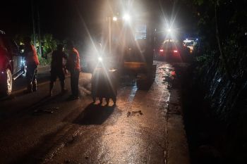 15 hektare lahan sawah petani Sipisang Agam terendam banjir