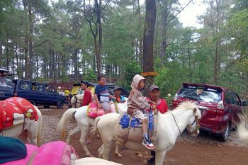 Kunjungan wisata di Malino meningkat pada akhir liburan panjang