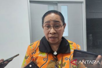 BPS sebut pedesaan Papua alami peningkatan IKRT 0,16 persen