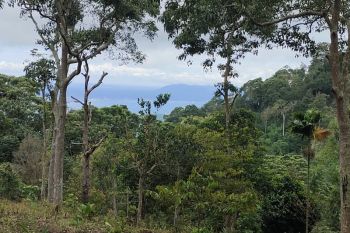 Dinas Kehutanan Lampung tingkatkan peran masyarakat cegah kebakaran hutan
