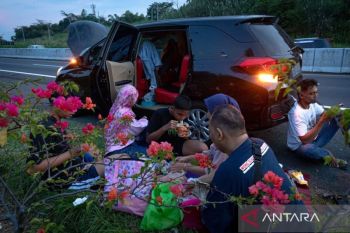 MTI minta pemerintah buat "rest area" semi permanen pada musim libur