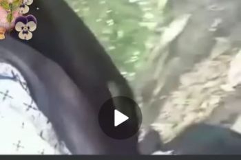 Viral! diduga siswa SMP lagi berbuat asusila beredar di Facebook
