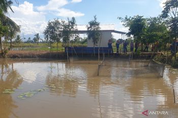 Pemkot Palembang tingkatkan konsumsi ikan