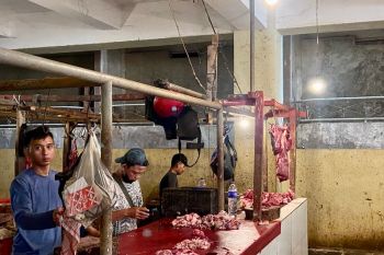 Harga daging sapi di Bandarlampung turun usai Lebaran 2023
