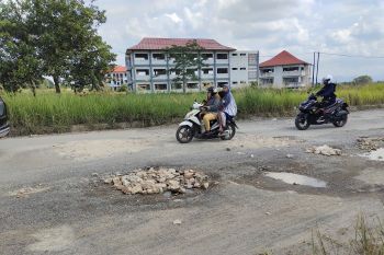 Setelah disorot, Pemprov Lampung sebut kualitas jalan akan diaudit