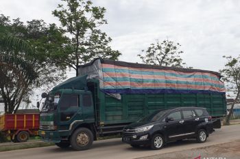 Warga Palembang minta Dishub-Polantas tertibkan truk masuk kota