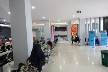 Kasus chikungunya di Kota Mataram turun
