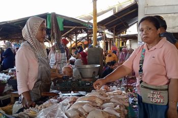 Harga ayam broiler di Mataram antara Rp45 ribu sampai Rp48 ribu per kilogram